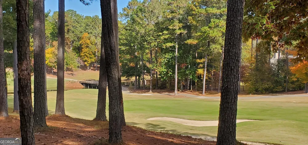 2320 Club DR Greensboro, GA 30642