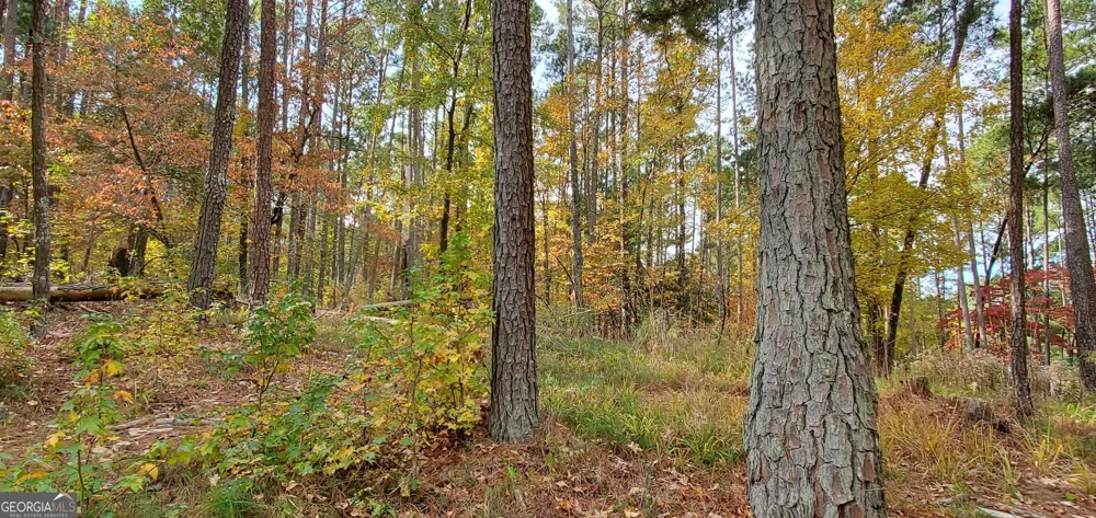 2320 Club DR Greensboro, GA 30642