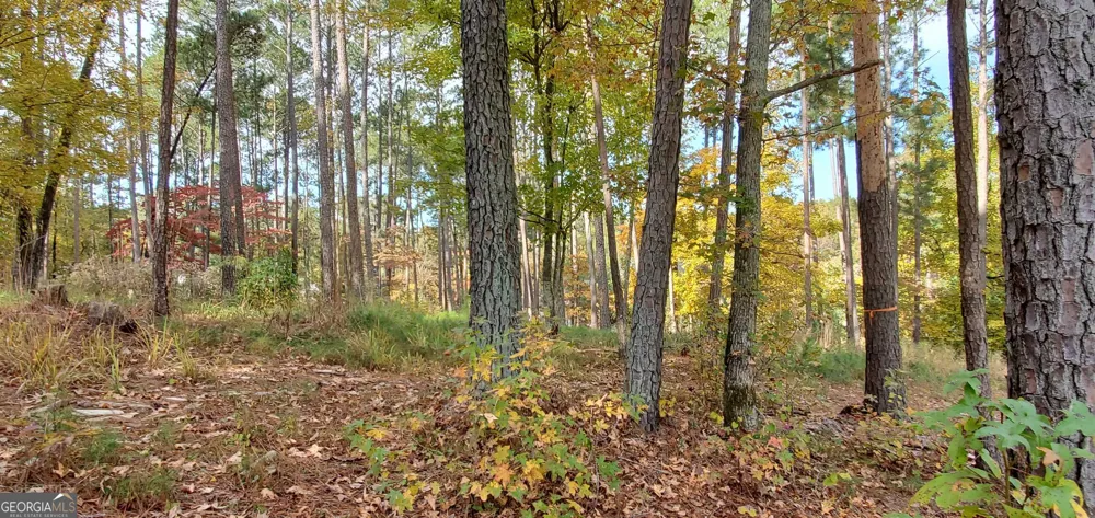 2320 Club DR Greensboro, GA 30642