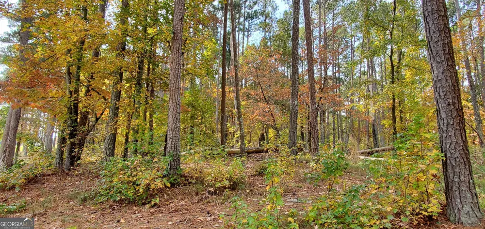 2320 Club DR Greensboro, GA 30642