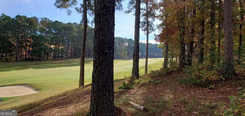 2320 Club DR Greensboro, GA 30642