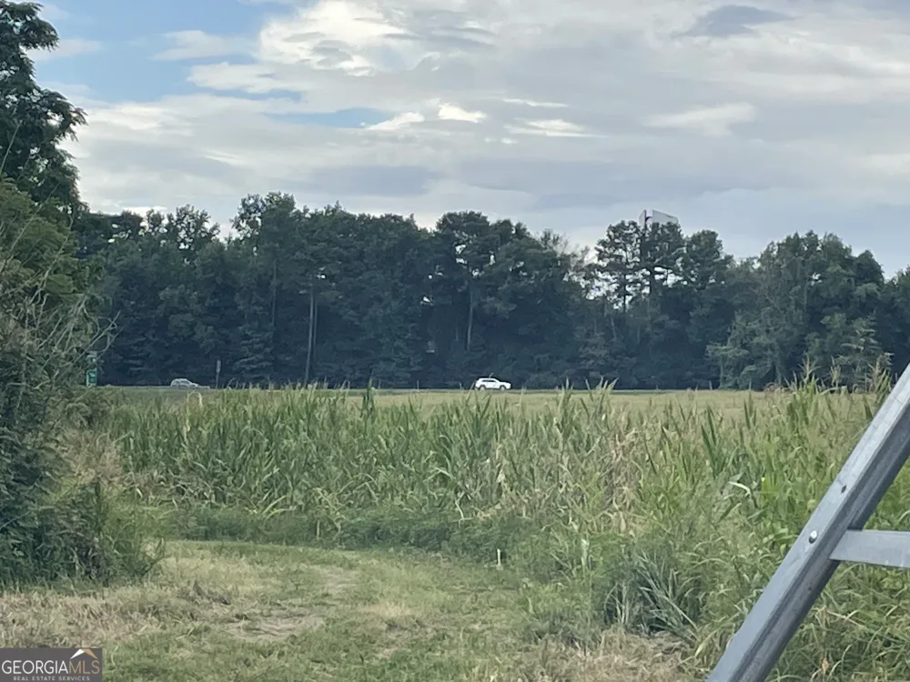 12684 Highway 59 Carnesville, GA 30521