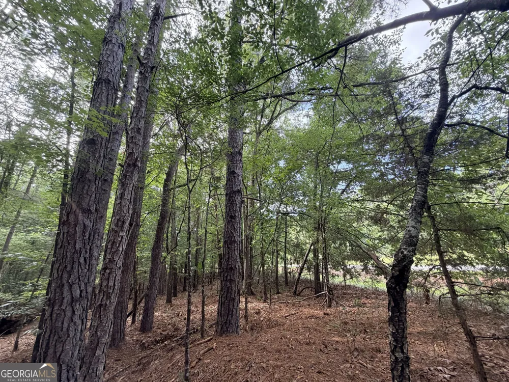 2250 W Highway 220 Lincolnton, GA 30817