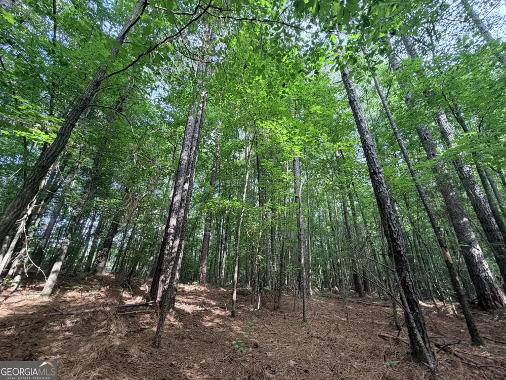 2250 W Highway 220 Lincolnton, GA 30817