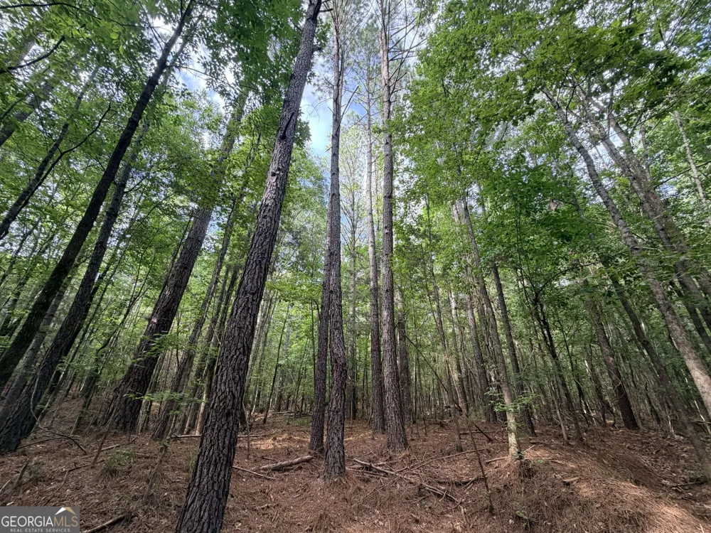 2250 W Highway 220 Lincolnton, GA 30817