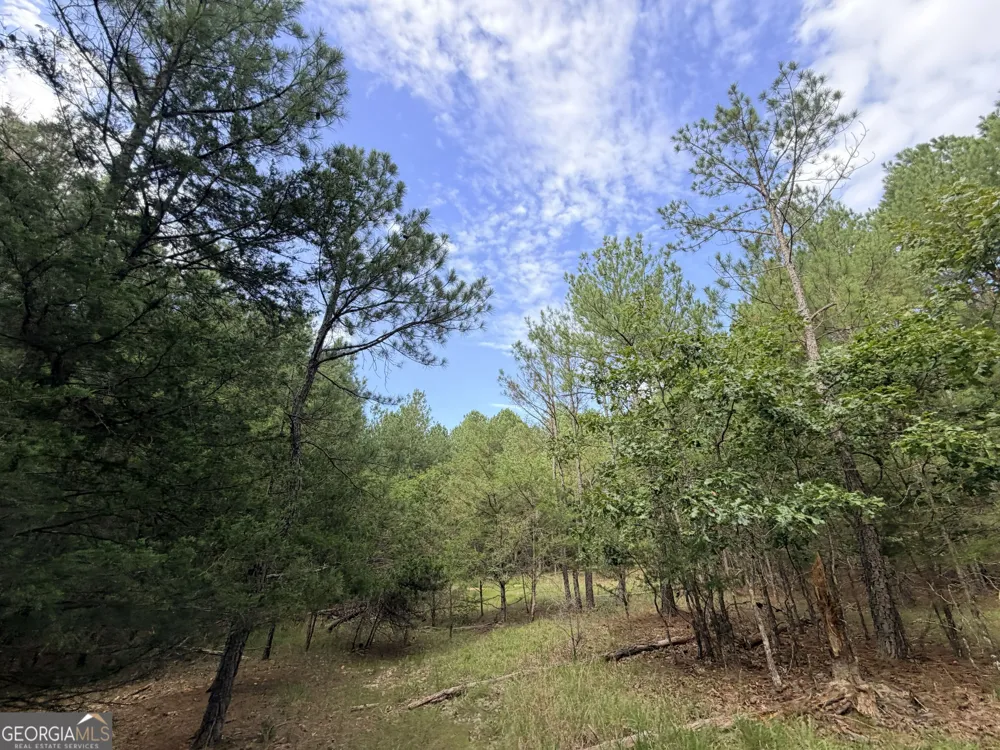 2250 W Highway 220 Lincolnton, GA 30817
