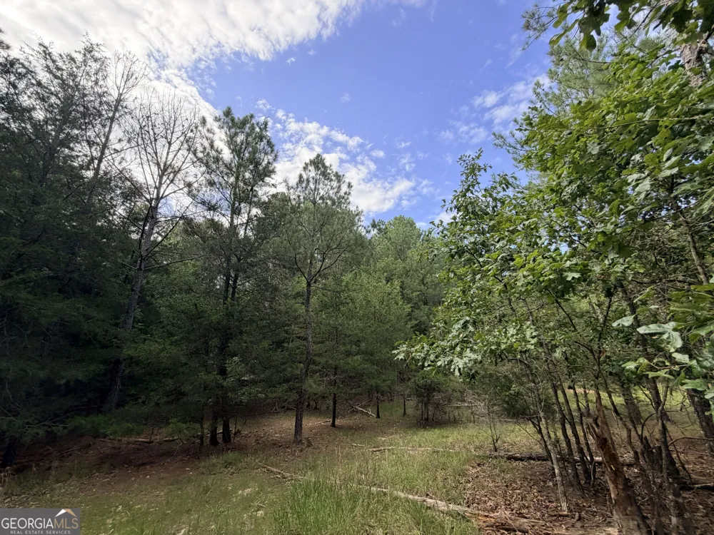 2250 W Highway 220 Lincolnton, GA 30817
