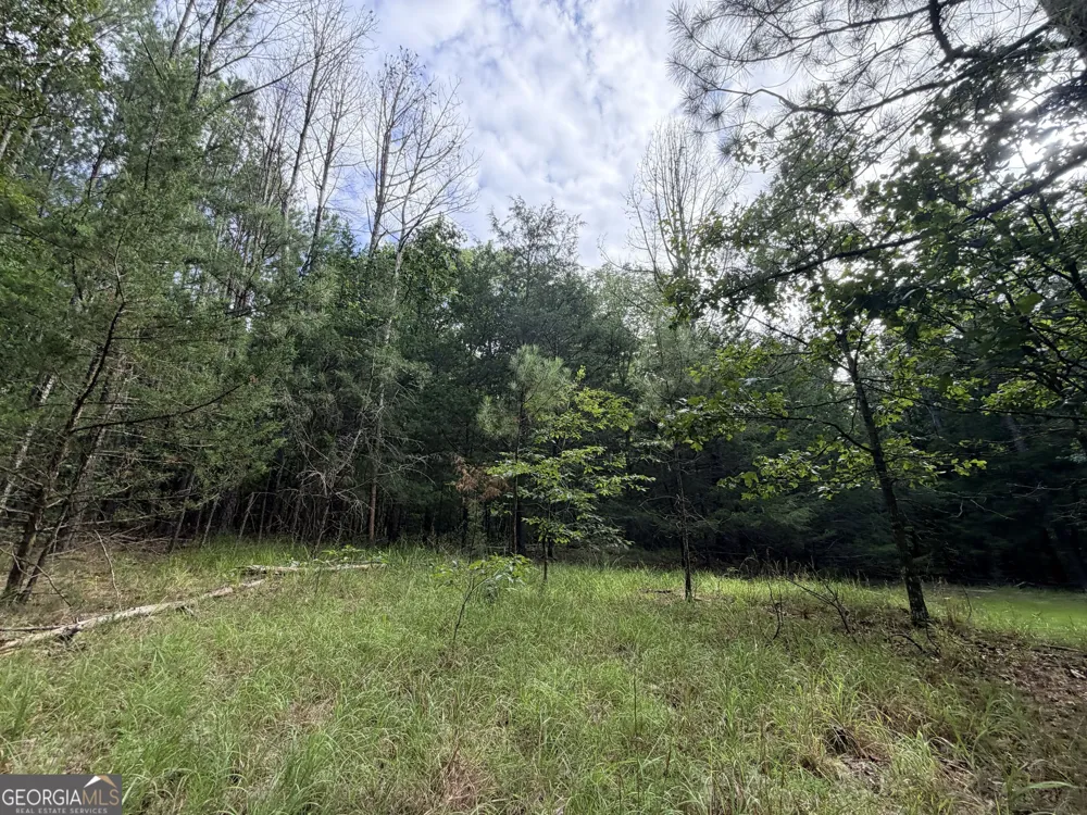 2250 W Highway 220 Lincolnton, GA 30817