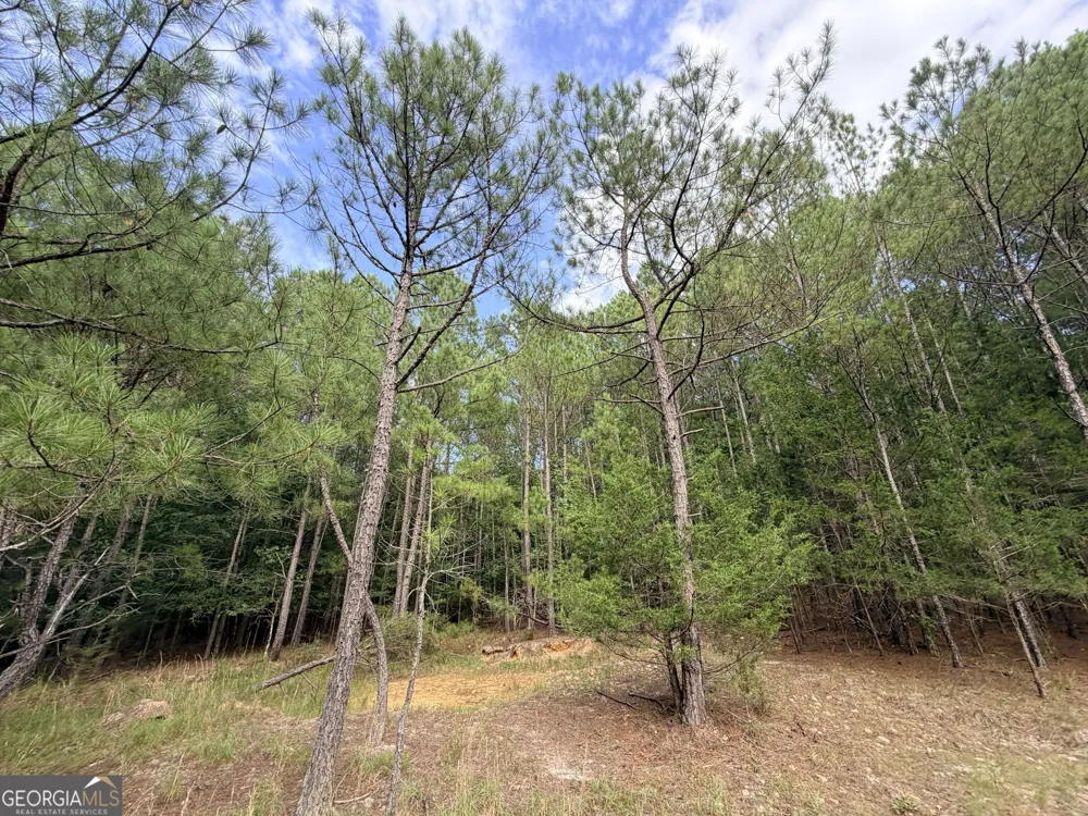 2250 W Highway 220 Lincolnton, GA 30817