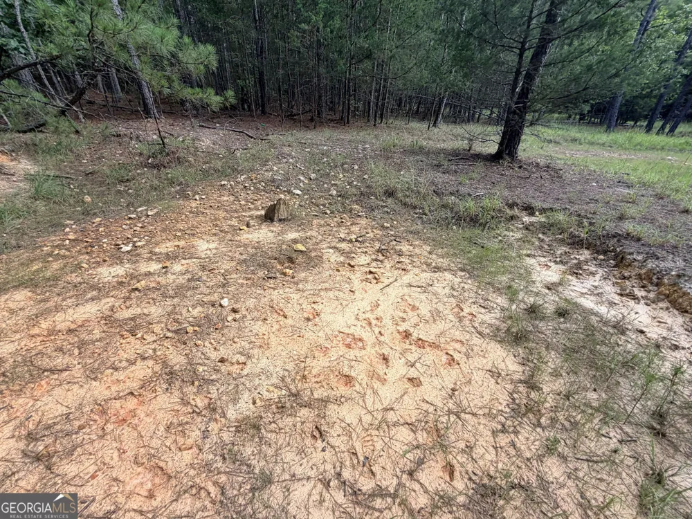 2250 W Highway 220 Lincolnton, GA 30817