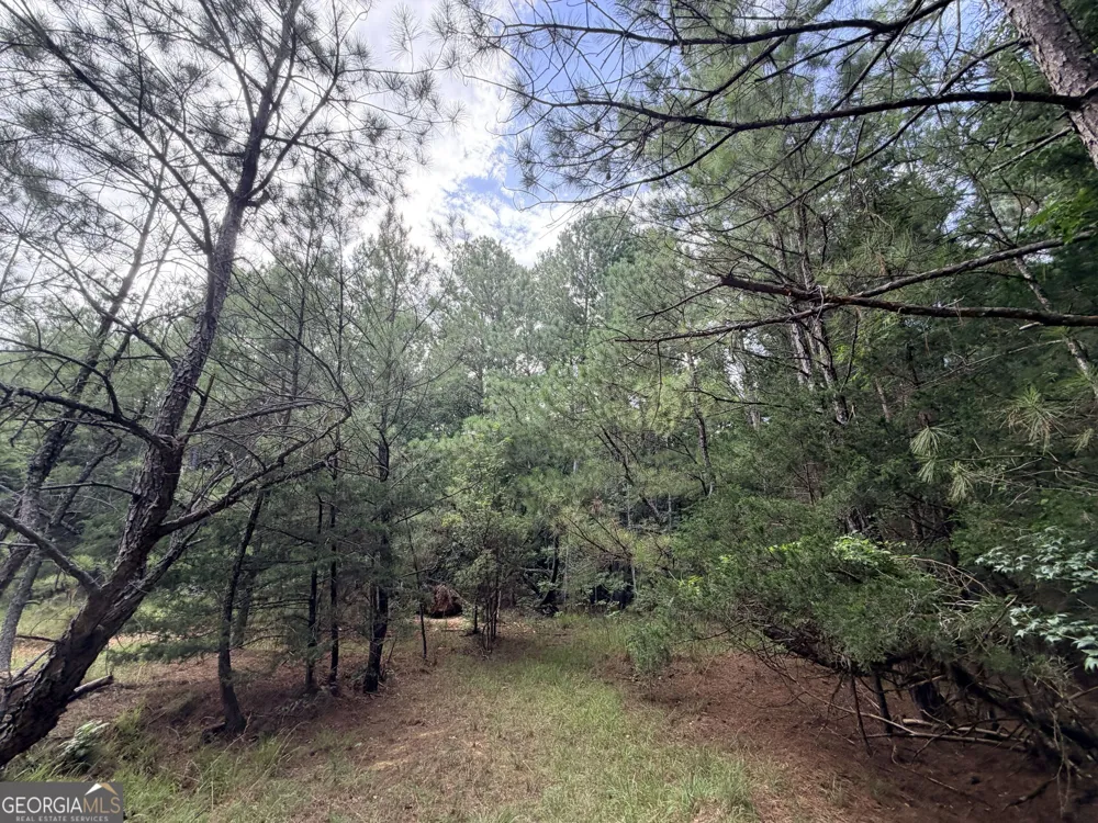 2250 W Highway 220 Lincolnton, GA 30817