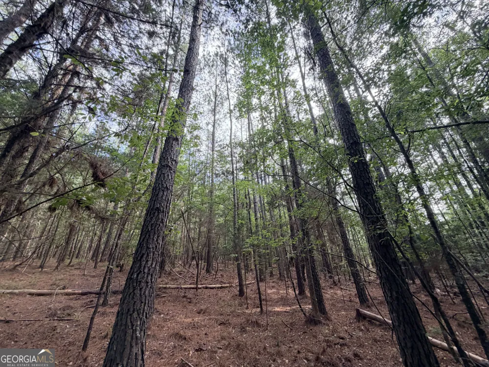 2250 W Highway 220 Lincolnton, GA 30817
