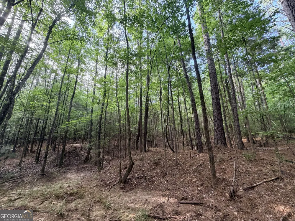 2250 W Highway 220 Lincolnton, GA 30817