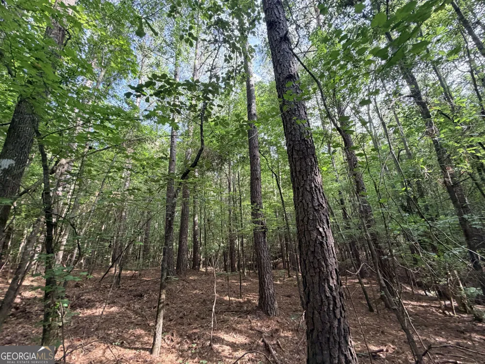 2250 W Highway 220 Lincolnton, GA 30817