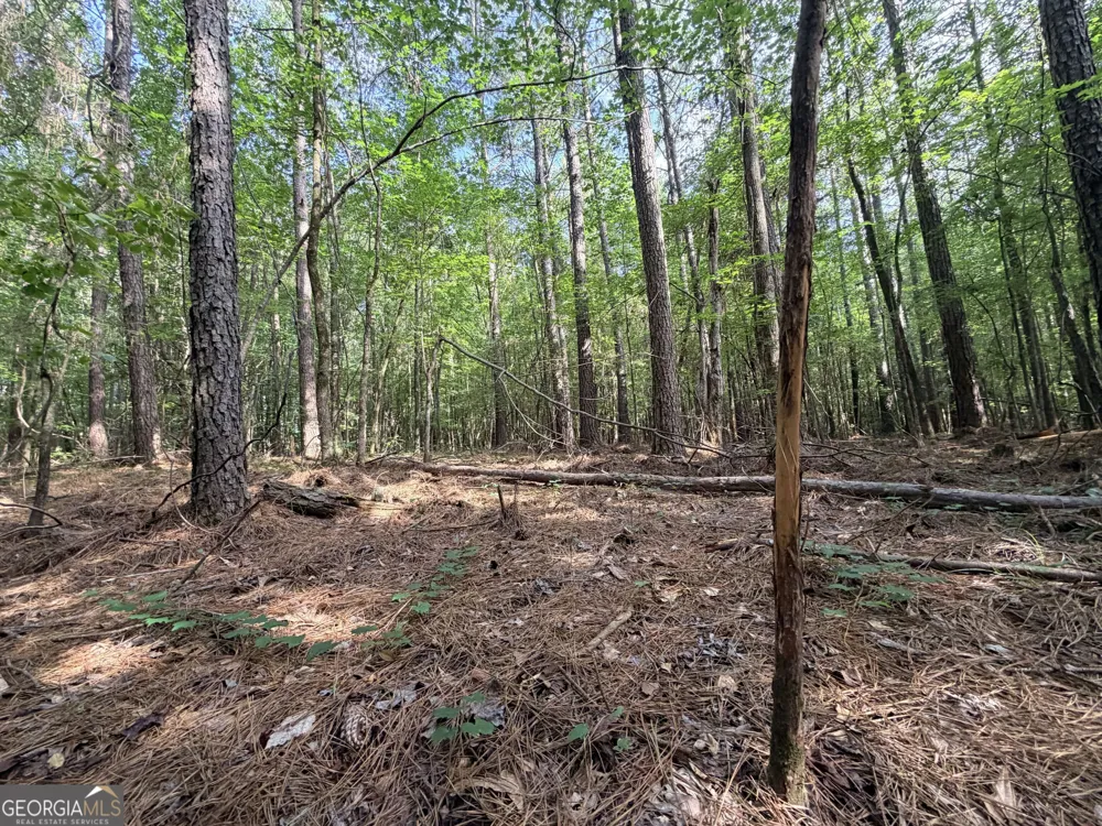 2250 W Highway 220 Lincolnton, GA 30817