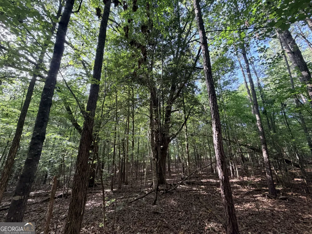 2250 W Highway 220 Lincolnton, GA 30817