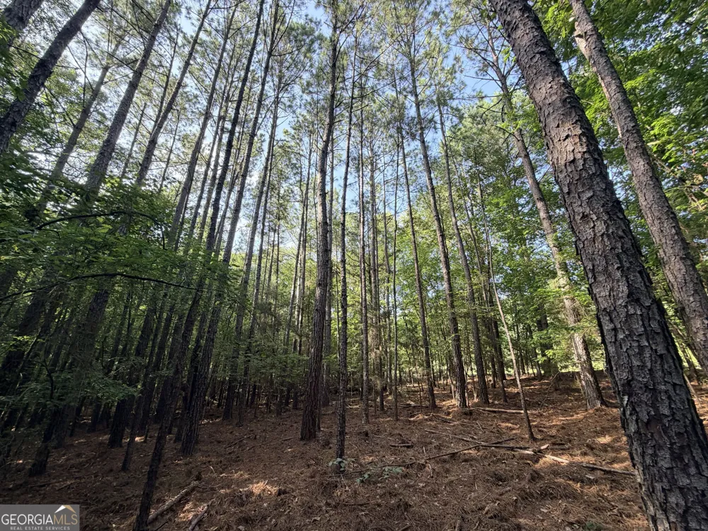 2250 W Highway 220 Lincolnton, GA 30817