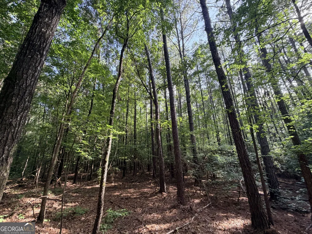 2250 W Highway 220 Lincolnton, GA 30817