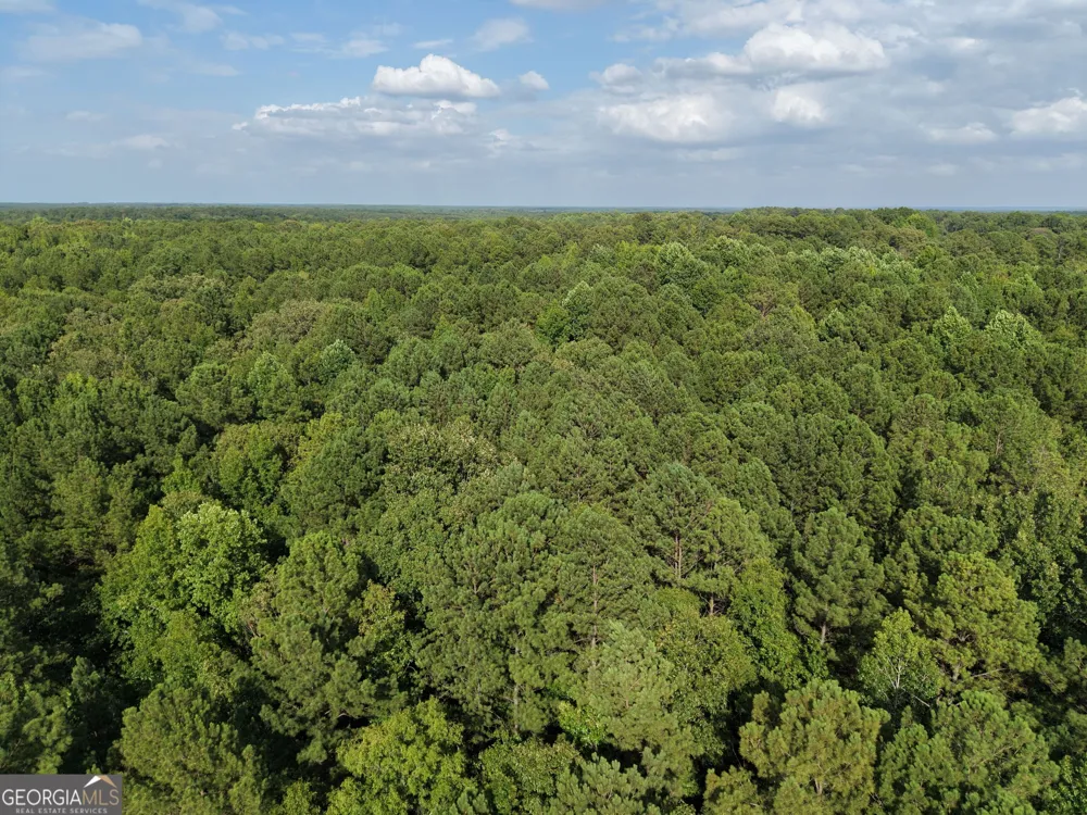 2250 W Highway 220 Lincolnton, GA 30817
