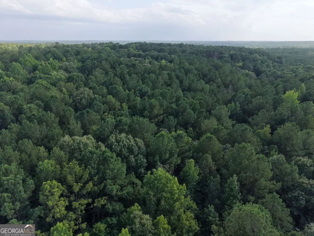 2250 W Highway 220 Lincolnton, GA 30817