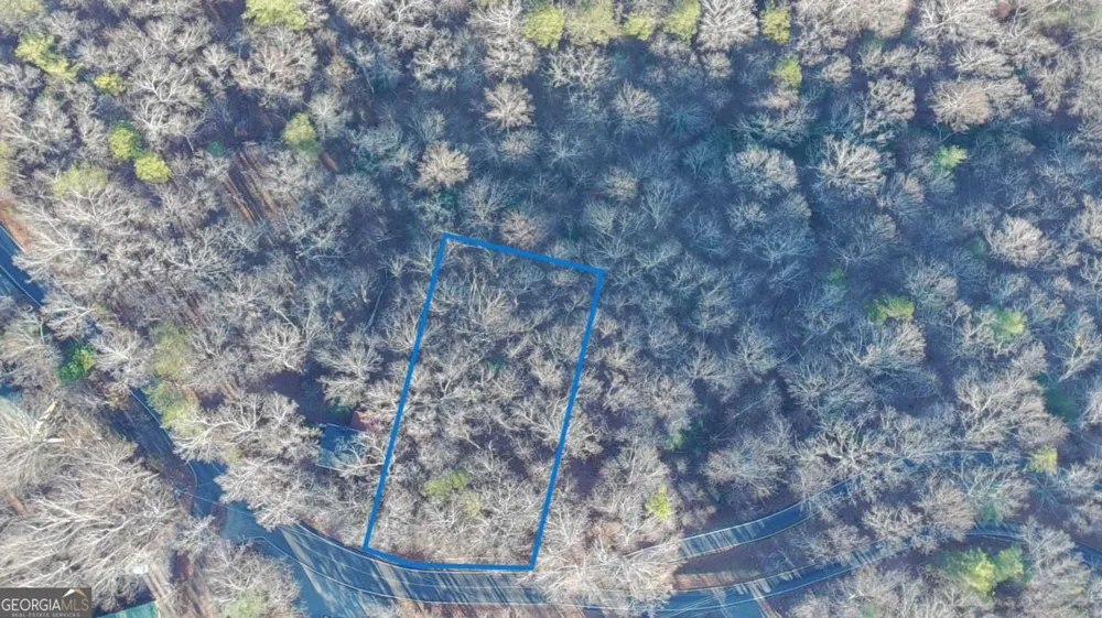 LOT 476 Riverview DR Ellijay, GA 30540
