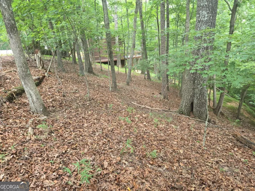LOT 476 Riverview DR Ellijay, GA 30540