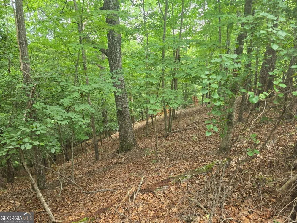 LOT 476 Riverview DR Ellijay, GA 30540