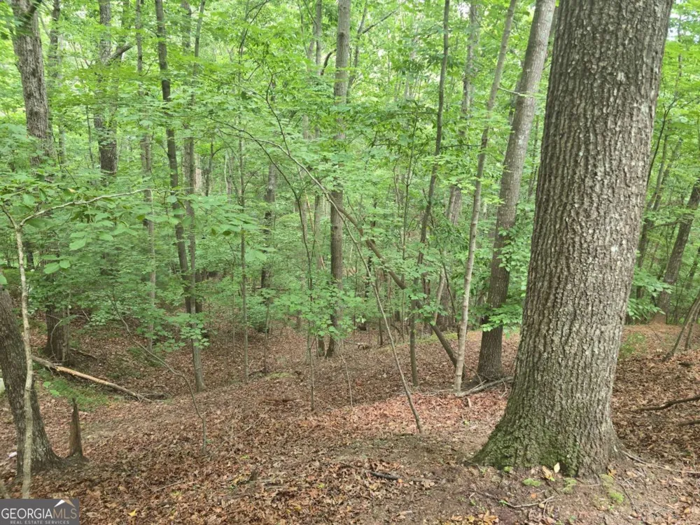LOT 476 Riverview DR Ellijay, GA 30540
