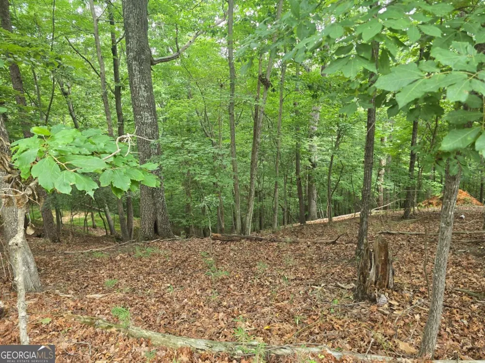 LOT 476 Riverview DR Ellijay, GA 30540