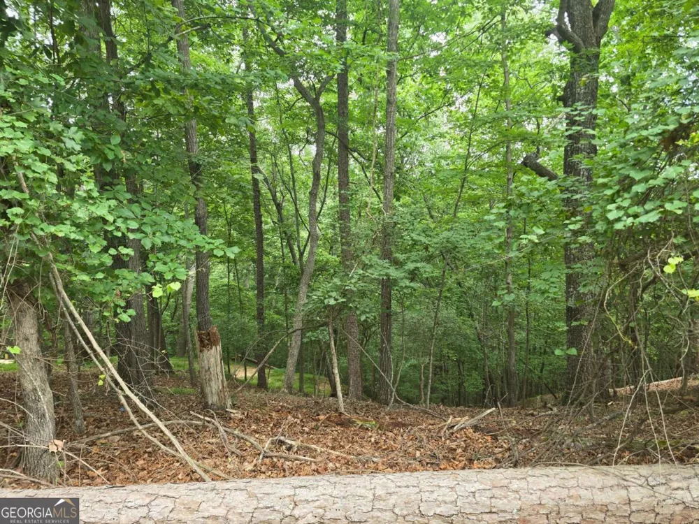 LOT 476 Riverview DR Ellijay, GA 30540