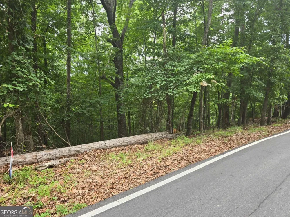 LOT 476 Riverview DR Ellijay, GA 30540