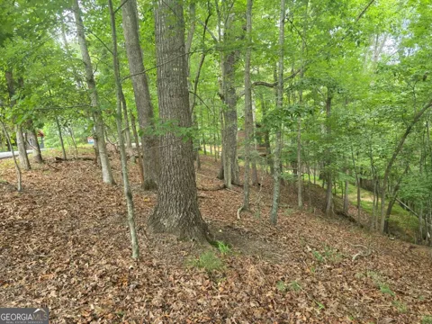 LOT 476 Riverview DR