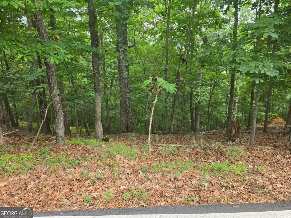 LOT 476 Riverview DR Ellijay, GA 30540