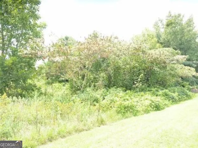 0 Gunn RD Byron, GA 31008