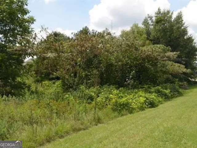 0 Gunn RD Byron, GA 31008