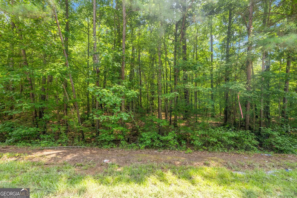 0 Coastline RD Fayetteville, GA 30214