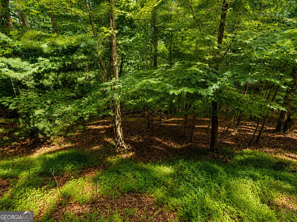 LOT674 Riverview DR Ellijay, GA 30540