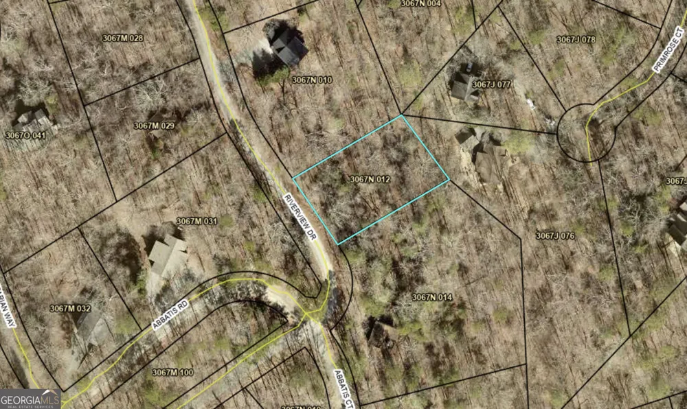 LOT674 Riverview DR Ellijay, GA 30540