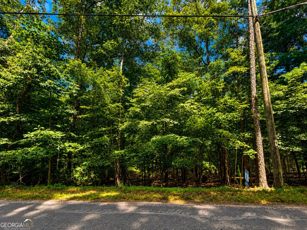 LOT674 Riverview DR Ellijay, GA 30540