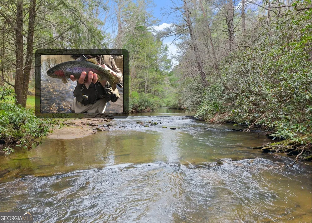 LOT 22 Soque Falls CIR Clarkesville, GA 30523