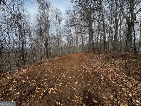 20 ACRES Burnt Leaf LN