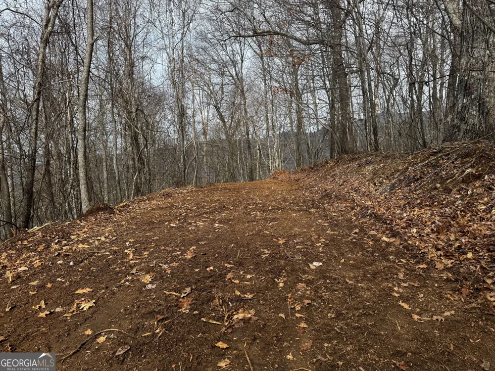 20 ACRES Burnt Leaf LN Hayesville, NC 28904