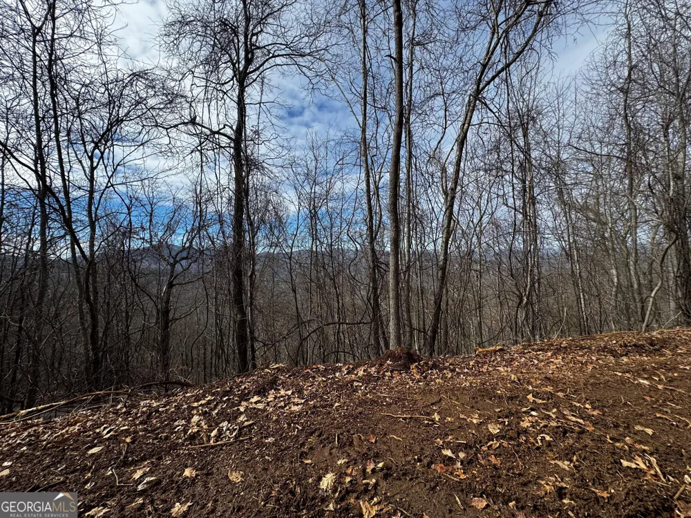 20 ACRES Burnt Leaf LN Hayesville, NC 28904