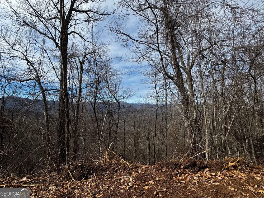 20 ACRES Burnt Leaf LN Hayesville, NC 28904