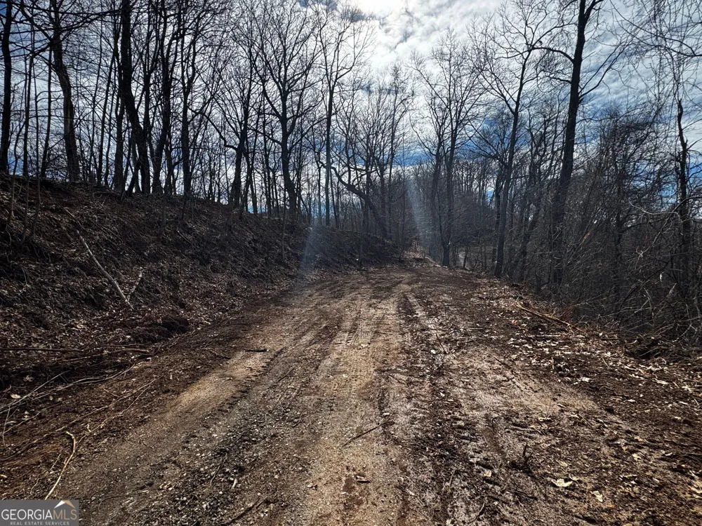 20 ACRES Burnt Leaf LN Hayesville, NC 28904