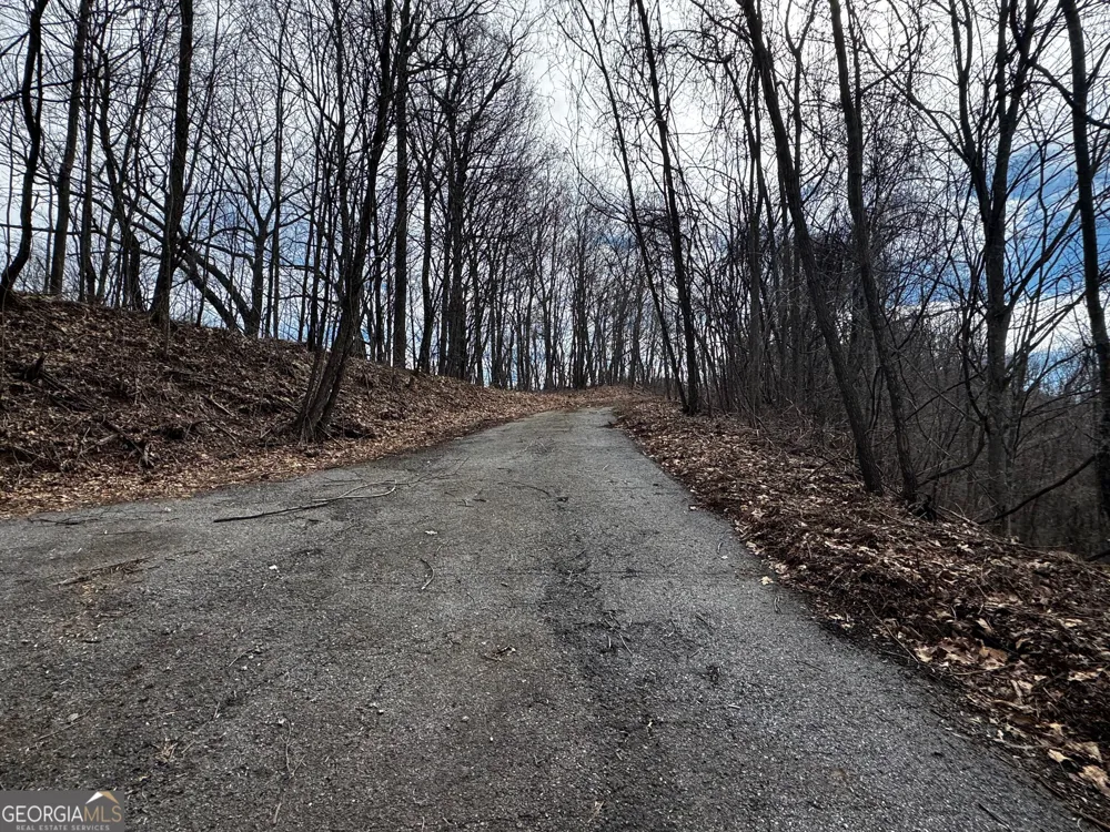 20 ACRES Burnt Leaf LN Hayesville, NC 28904