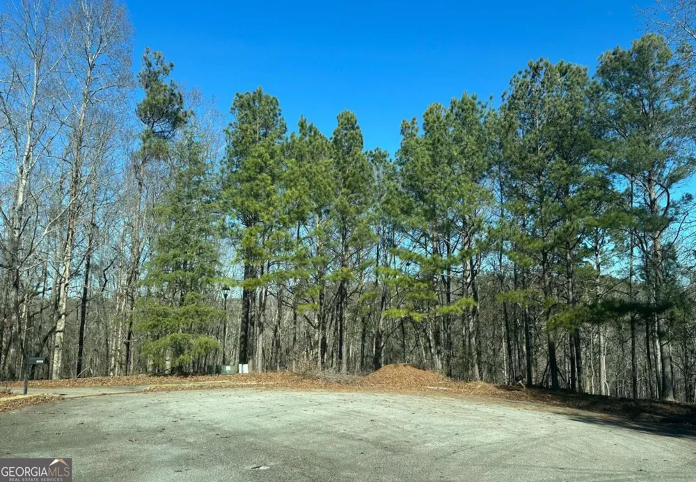 9590 Grande DR Winston, GA 30187