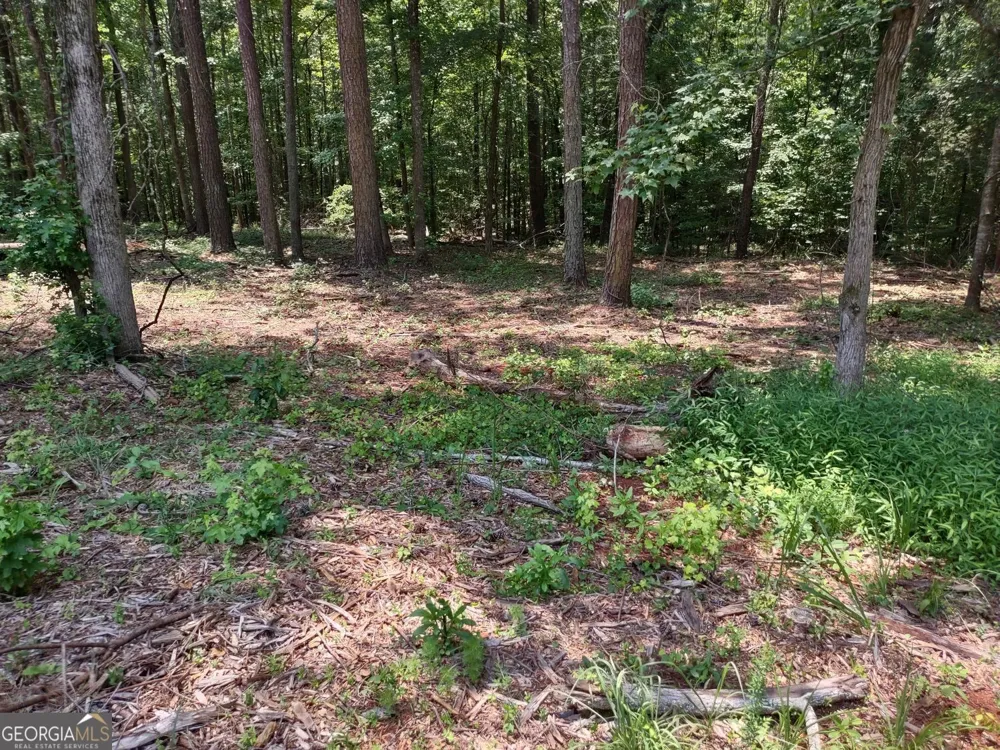 0 Panhandle RD Hampton, GA 30228