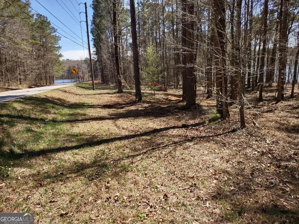 0 Panhandle RD Hampton, GA 30228