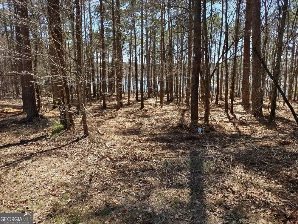 0 Panhandle RD Hampton, GA 30228